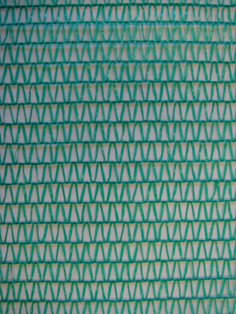 Предпазна мрежа
